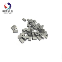 锯齿片 5516 (7)